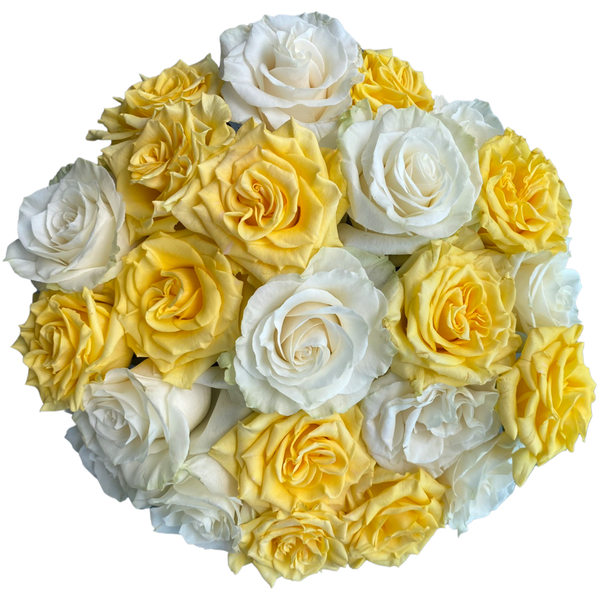 White & Yellow Roses