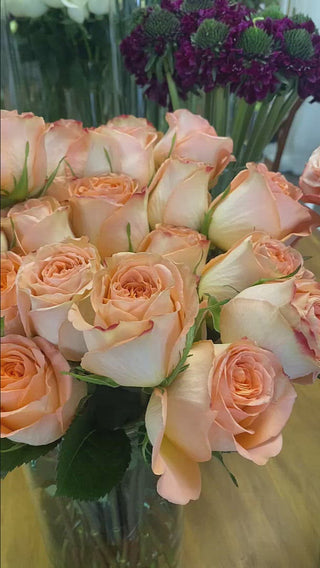 Peach Roses - Country Home