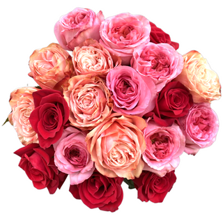 Red, pink & peach Roses