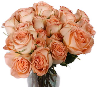 Peach Roses - Country Home