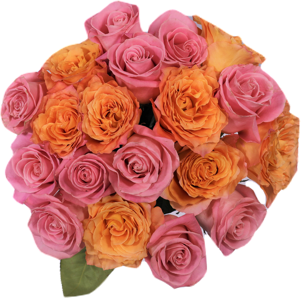 Orange & Pink Roses