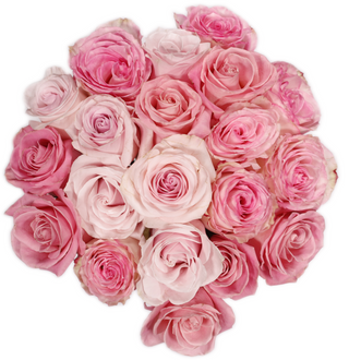 Buy pink Assorted Pink  Roses