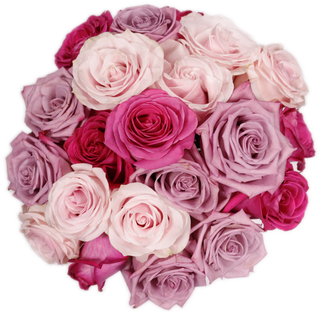 Lavender & Pink Roses