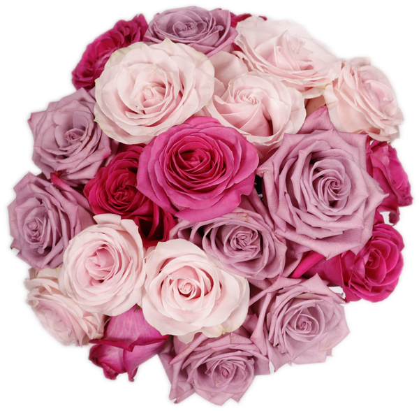Lavender & Pink Roses