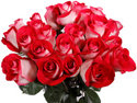 Bicolor White & Red Roses - Blues