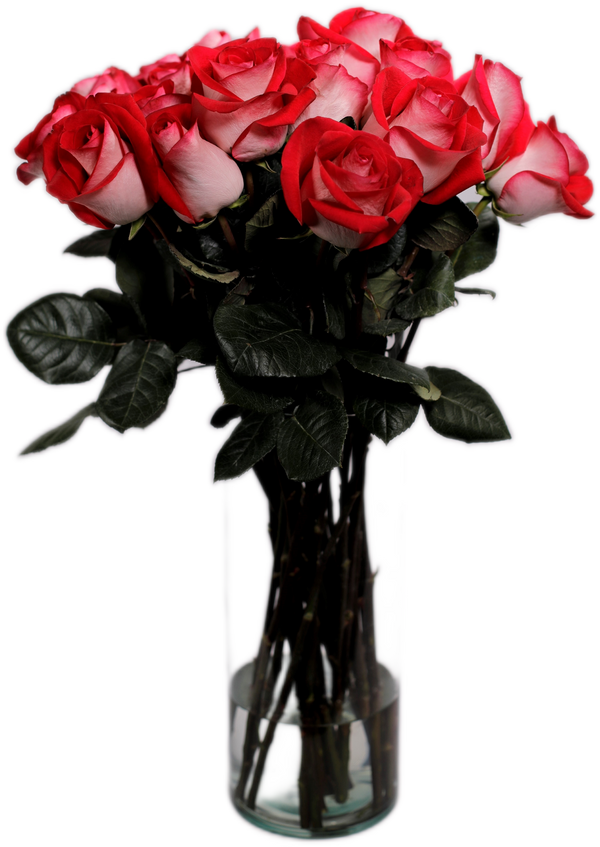 Bicolor White & Red Roses - Blues