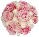 White & Stripped Pink Roses